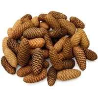 NaDeco Bastelnaturmaterial Fichtenzapfen in Natur, 1kg Picea abies