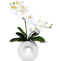 Kunstorchidee Phalaenopsis Orchidee Phalaenopsis, Creativ green, Höhe 35 cm, in Keramikvase