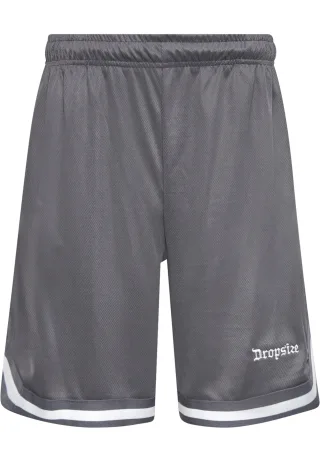Dropsize Shorts "Dropsize Herren Dropsize Logo Mesh Shorts"