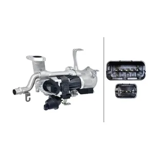 Hella AGR-Ventil Citroen Ford Peugeot Volvo 6NU010171-181