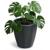 Prosperplast Blumentopf Oro, inkl. Pflanzeinsatz, 23,9 x 24 cm, dunkelgrau