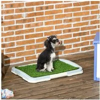 PawHut Hundetoilette Puppy Pee Pad, Welpentoilette, Hundeklo, Abnehmbar und waschbar, mit Anti-Rutsch-Fußmatten