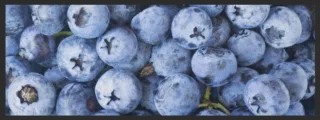 Küchenteppich Blaubeere 4343 | Größe: 75 cm x 120 cm