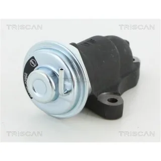 Triscan AGR-Ventil Toyota Yaris P1 P2 1,4