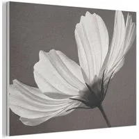 MuchoWow Gemälde Blume - Minimalistisch - Schwarz - Weiß, Fotodruck (1 St), Akustikpaneele PET-Filz, Akustikbild, Schalldämmung, Deko 40x30 cm