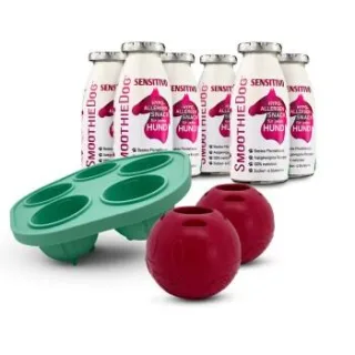 SmoothieDog Sensitivo (Pferd) 6x 250 ml + Schleckball 2 Stück