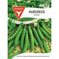 FRANKONIA Gemüsesamen Markerbse, Senator - ertragreich + süß, Erbsen-Samen Gartenerbse, Pisum sativum