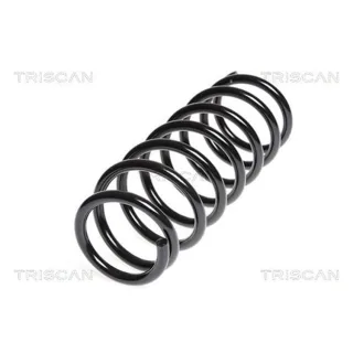 Triscan Feder hinten Subaru Justy Suzuki Ignis