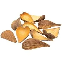 NaDeco Bastelnaturmaterial Dregea volubilis in Natur, Verpackt mit 10 Stück, Länge ca. 6–10 cm
