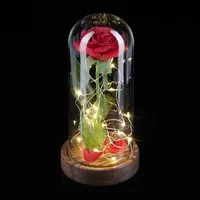 Kunstblume Ewige Rose im Glas mit Licht, relaxdays, Höhe 22 cm