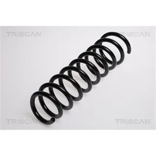 Triscan Feder hinten Audi A4 B5 875029090