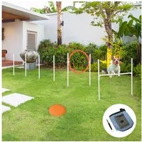 PawHut Agility-Hürde Agiliy-set für Haustiere mit Höhenverstellbaren Agilityhürde, PVC, 5er-Set Hundetraining (5-tlg) Weiß+Blau+Rot+Orange PVC