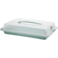 ROTHO Kuchentransportbox JOHN, Grün, Deckel mit Tragegriff, B 43 x T 29 cm, Polypropylen, Spülmaschinengeeignet