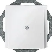 Zentralplatte mit Traggestell und Zugentlastung für Leitungsauslass Typ 295619 weiß (matt), Retail