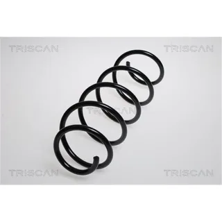 Triscan Feder vorne Mercedes A-Klasse W169 B-Klasse W245 875023104
