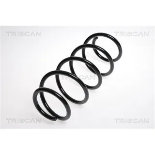 Triscan Feder vorne VW Fox Polo