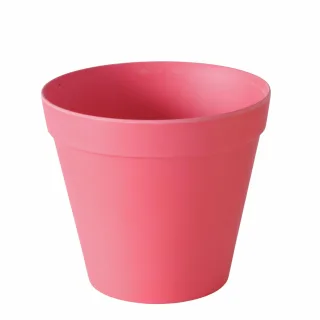 Rot
