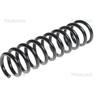 Triscan Feder hinten Hyundai Ix35 Kia Sportage 2,0 875043114