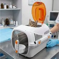 SNOEKIE Tiertransportbox SNOEKIE Transportbox für Katzen & kleine Hunde mit 2 Öffnungen