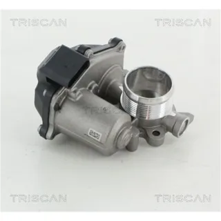 Triscan AGR-Ventil Audi A4 A5 A6 Q5 2,0