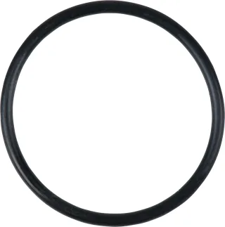 KS Tools O-Ring - 515.1980-R019P