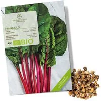 Growgreens Gemüsesamen BIO Mangold Samen (Rhubarb) - Mangold Saatgut aus bio. Anbau (25 Korn), Kräuter