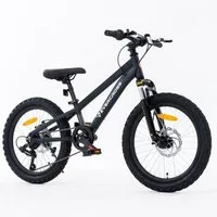 EVERCROSS TECH Kinderfahrrad EM5 20 Zoll MTB Kid, Shimano 7 Gang,Aluminiumrahmen, 7 Gang, Federgabel, Geländetauglich für Kinder ab 6 Jahren