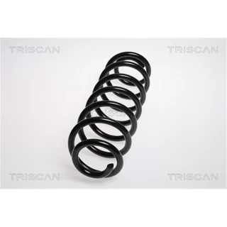 Triscan Feder hinten VW Eos Touran
