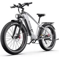 DUOTTS E-Bike Cityrad F26lite Pedelec Damen u. Herren 48V 864Wh 100km 20x4,0 Elektrisches, 7 Gang Shimano Schaltwerk, Kettenschaltung, Heckmotor, 864 Wh, Fat-Tire E-Mountainbike
