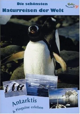 Antarktis & Pinguine erleben [DVD] [2006]