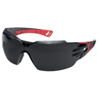 uvex Bügelbrille pheos cx2 Infrarotschutz 5,0 schwarz, rot - 9198175