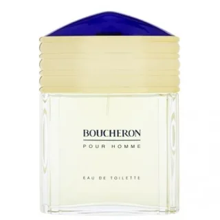Boucheron Pour Homme Edt Spray 100 ml