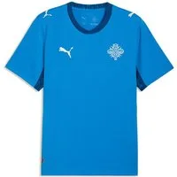 PUMA Trainingsshirt Island 2026 Heimtrikot Herren