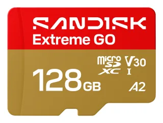SanDisk Extreme Go | sdsqxgn-128g-gn6mn | Flash-Speicherkarte - 128