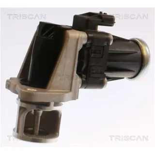 Triscan AGR-Ventil Nissan Renault 881325040 1,5