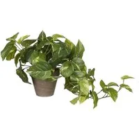 Kunstpflanze Mica künstlicher Pothos grün im Topf 44 x 17 cm, Mica Decorations