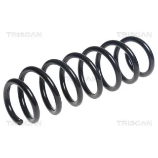 Triscan Feder hinten BMW X3 X4 875011211