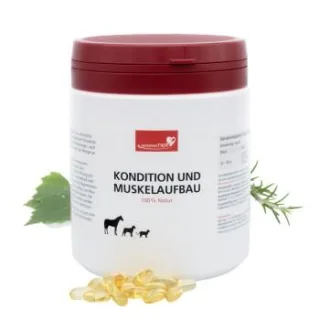 HerzensTier Kondition und Muskelaufbau 250 ml