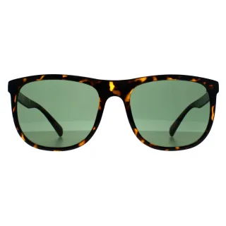 Calvin Klein CK22557S 240 glÃ¤nzende havannagrÃ¼ne Sonnenbrille