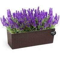 KONZEPT Balkonkasten Hochwertige Blumenkasten Rattan-Optikin, rechteckig 56 x 19 cm, Balkonkasten ideal fur Balkon, Terrasse, Fensterbank