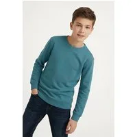 TOM TAILOR Sweatshirt