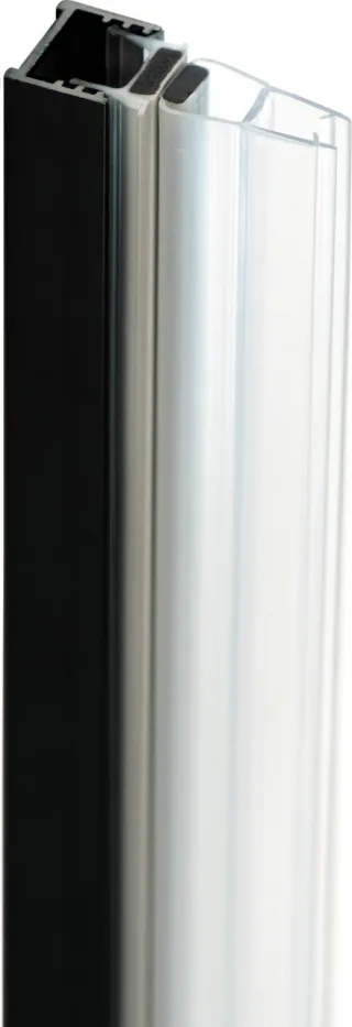 Neuesbad MAGNETIC PROFILE für WALK-IN, Schwarz NB1DEKTJN00X1