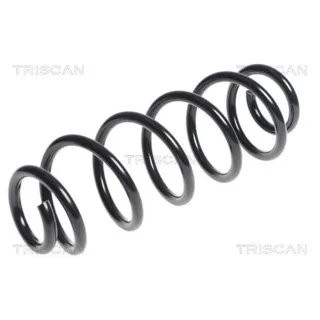 Triscan Feder hinten Audi A3 8P 875029345