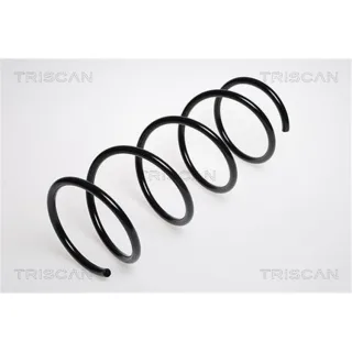 Triscan Feder vorne Ford Ka 1,3