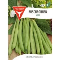 FRANKONIA Gemüsesamen Buschbohne, Saxa - Bohnen-Samen Saatgut Samen, Phaseolus vulgaris