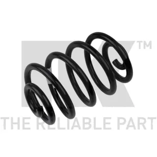 NK Feder hinten Renault Clio 2 543902
