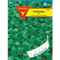 FRANKONIA Gemüsesamen Feldsalat, Vit Saatband - Saatgut Salat-Samen Samen, Valerianella locusta