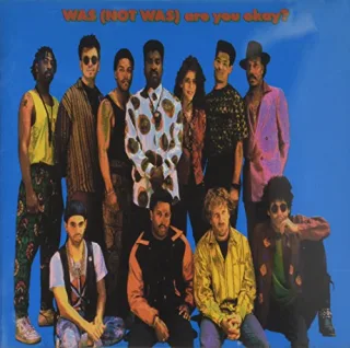 Are You Ok [Audio CD] Was Not Was