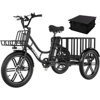 ELEKGO E-Bike Elektrisches Dreirad 20*3,0 zoll E-Dreirad Cargo mit 48V18Ah Akku Lastenfahrrad, 1 Gang, Kettenschaltung, Heckmotor, 864 Wh, Mit Körben vorne und hinten für Erwachsene zwischen 16 und 60 Jahren
