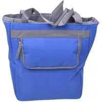 Diedrich Filmer GmbH Gepäckträgertasche Kühltasche isoliert 20L Fahrradtasche Blau (Set, Kühltasche mit Halterung), Tasche Gepäckträgertasche für Fahrrad Gepäckträger Bike E-Bike eBike